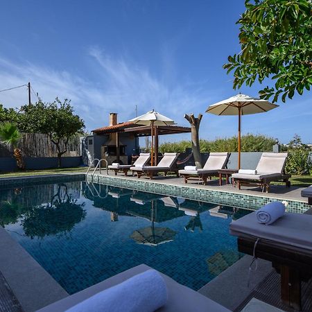 Platanias Villa Spyros Εξωτερικό φωτογραφία